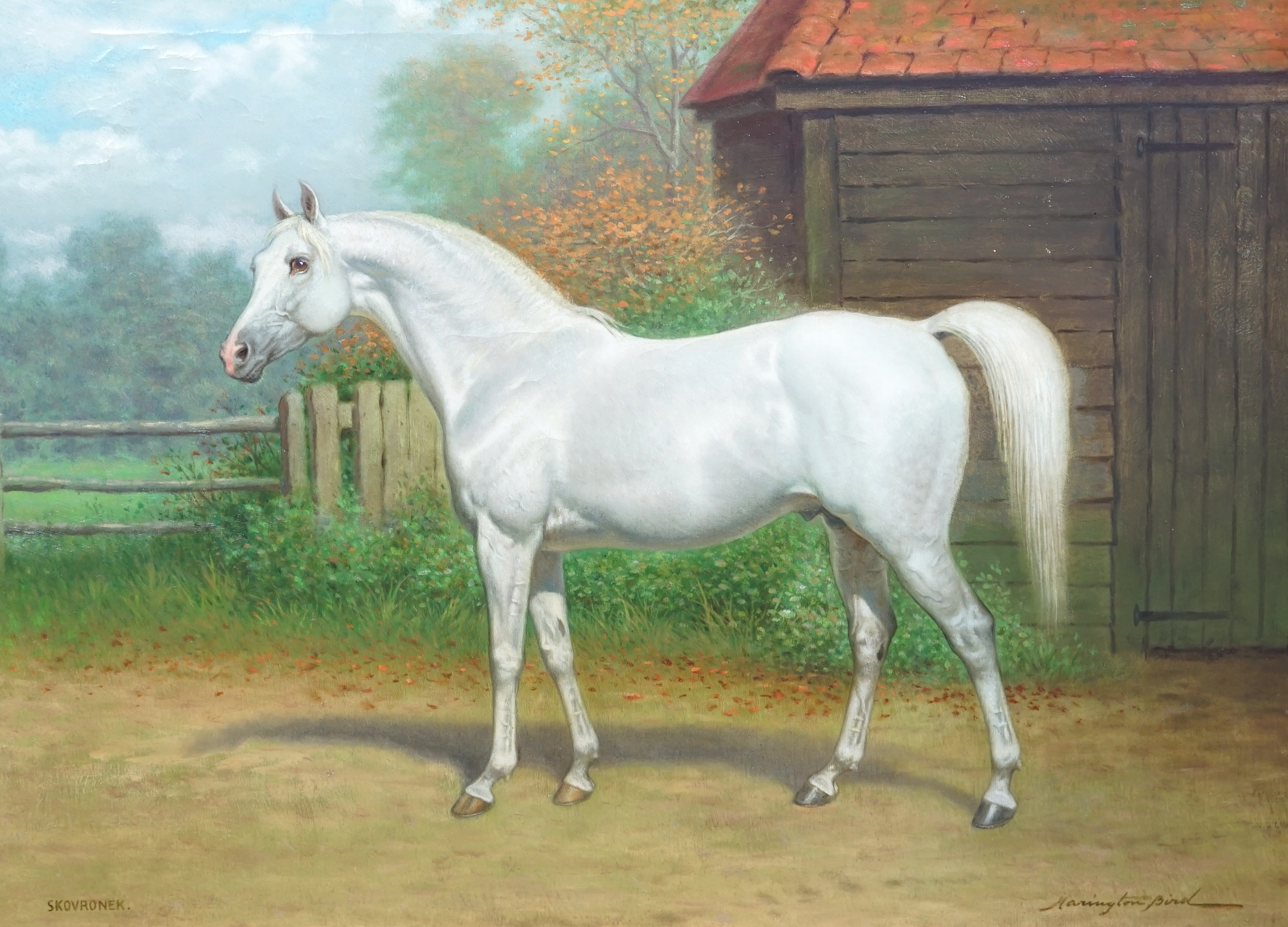John Alexander Harrington Bird (English, 1846-1936), Portrait of the grey Arab stallion racehorse 'Skowronek', oil on canvas, 54.5 x 75cm